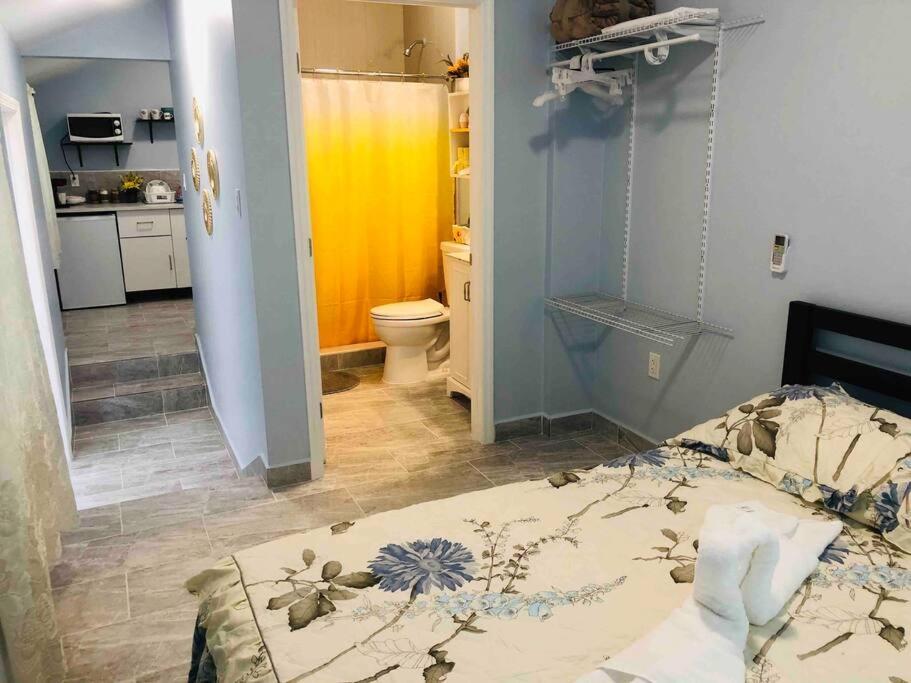 New Luxurious Studio Private In The Heart Of Miami Buitenkant foto