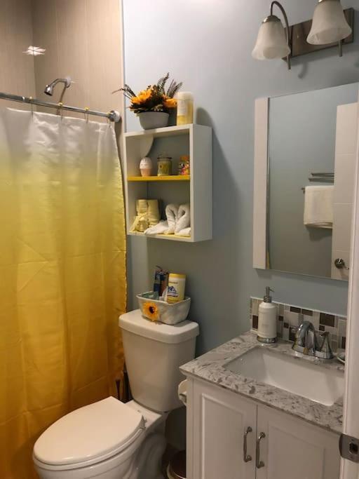 New Luxurious Studio Private In The Heart Of Miami Buitenkant foto