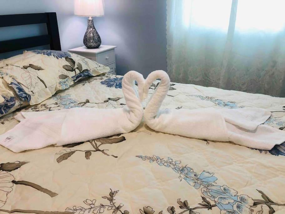 New Luxurious Studio Private In The Heart Of Miami Buitenkant foto
