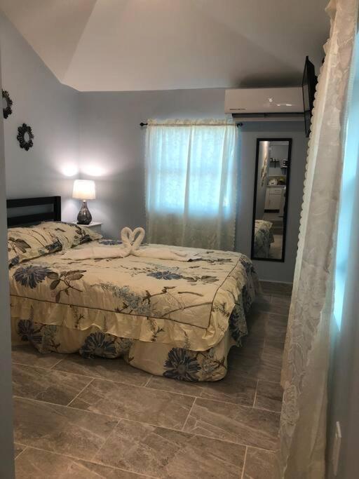 New Luxurious Studio Private In The Heart Of Miami Buitenkant foto