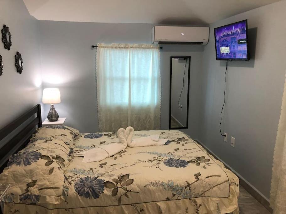 New Luxurious Studio Private In The Heart Of Miami Buitenkant foto